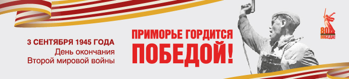 Находка баннер 690х156 с муаровой лентой